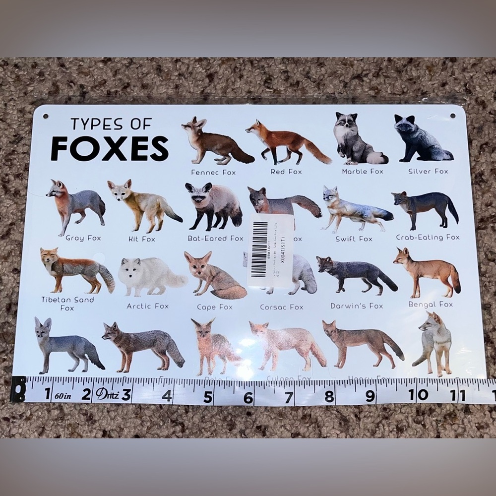 Amazon White Foxes Wall Art Chart with Multicolor Illustrations